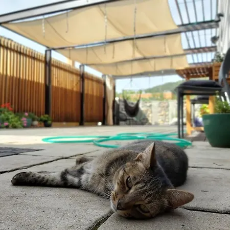 Vigeo Lounge Coffee Bojnice