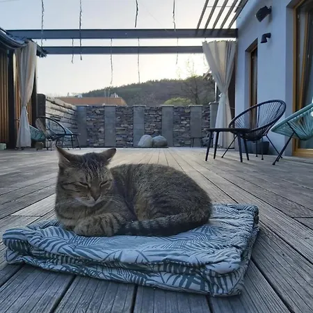 Vigeo Lounge Coffee 4* Bojnice